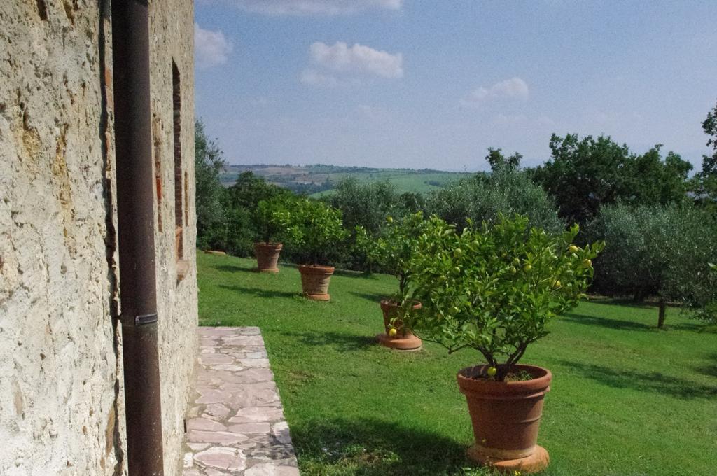 Agriturismo Cerreto Pienza Exteriör bild