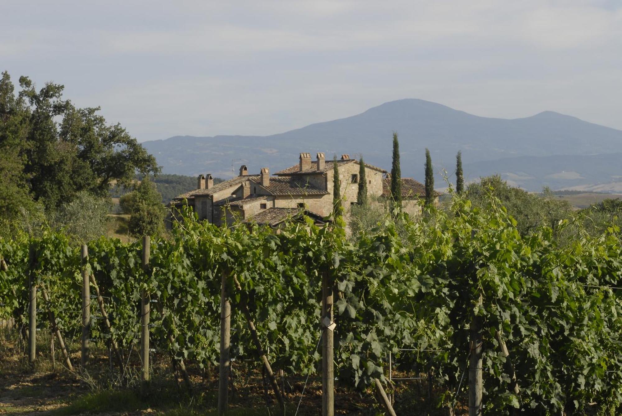 Agriturismo Cerreto Pienza Exteriör bild
