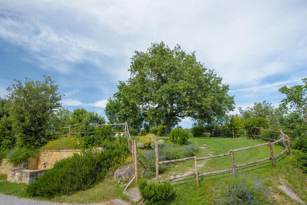 Agriturismo Cerreto Pienza Exteriör bild