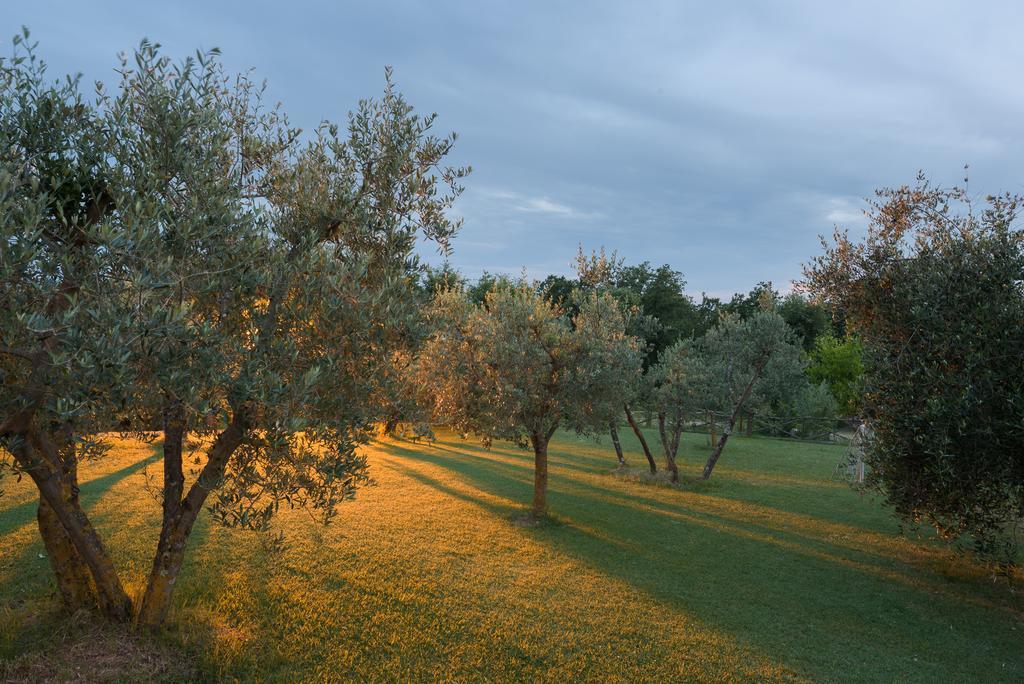 Agriturismo Cerreto Pienza Exteriör bild